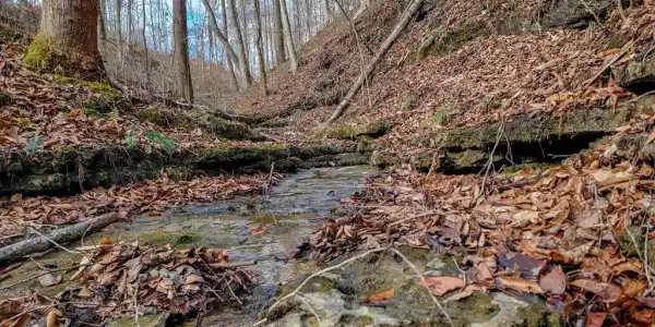 6.24 AC Hutchins Bend Rd