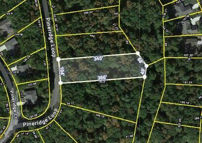 181 Pineridge Loop