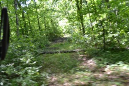 7.50ac Beauchamp Rd