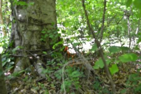 7.50ac Beauchamp Rd