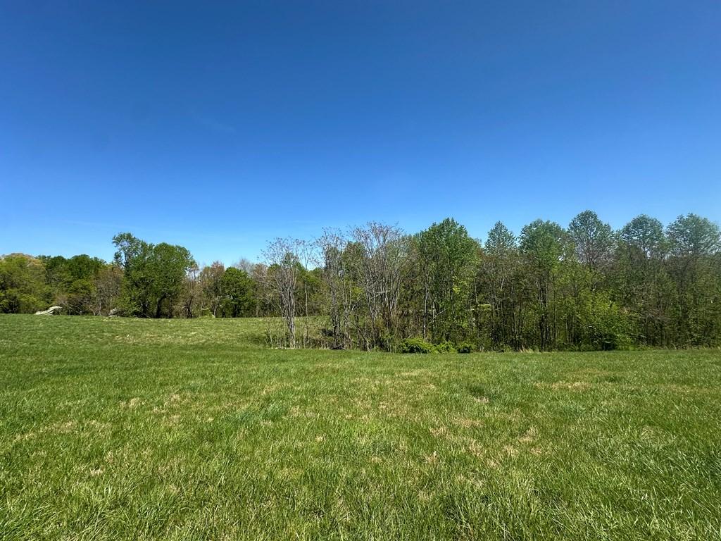 Image 3: LOT 9