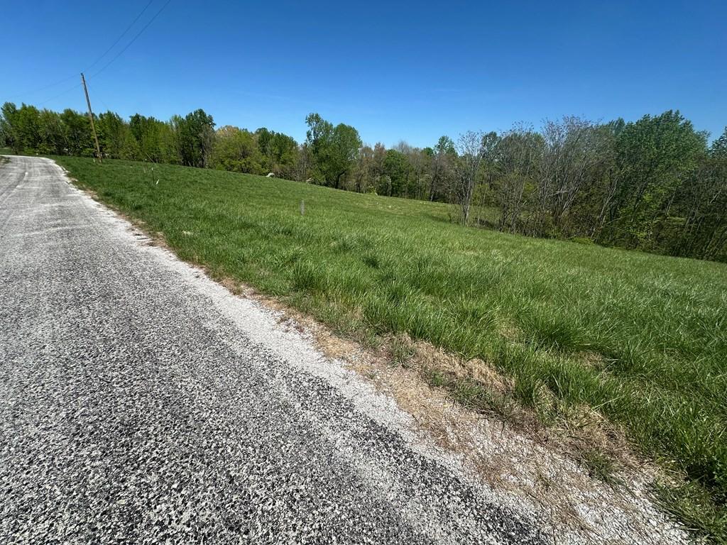 Image 4: LOT 9