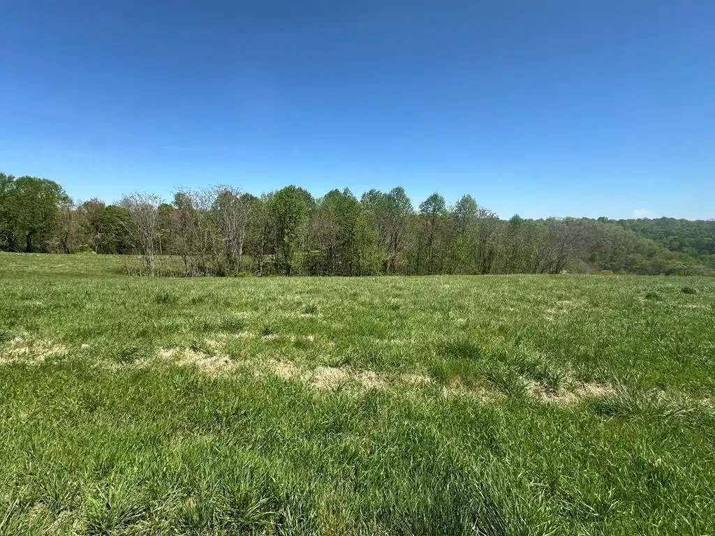 Image 1: Main View