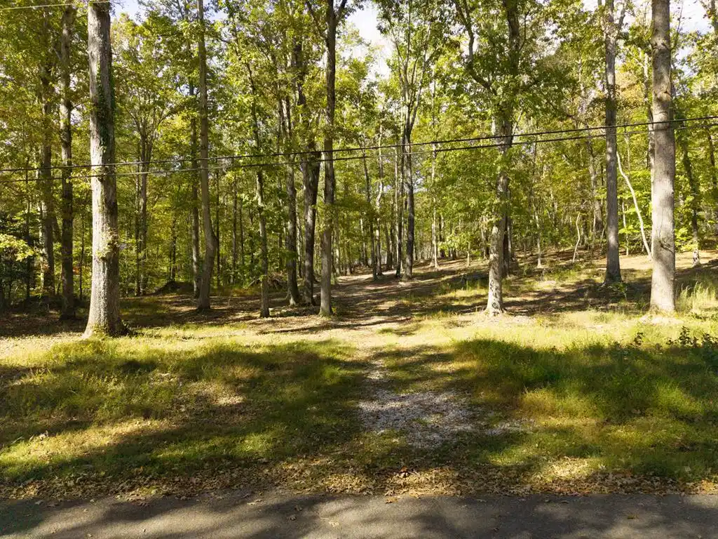 Image 1: Main View