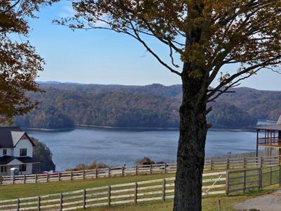 173 Bald Eagle