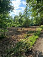 LOT 11 HUFFER ROAD CREEKSIDE