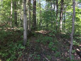 Lot 36 East Sunset Blvd
