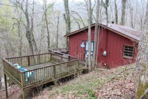 234 Bruer Dr