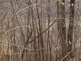 .78 ac Hillside Road