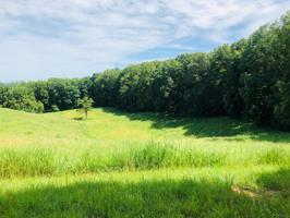 0 Amonett Ridge Rd