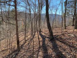Lot 25 Mitchell Creek Pt.