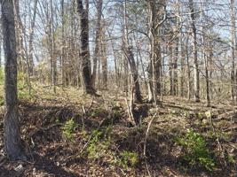 Lot 8 Ashburn Circle