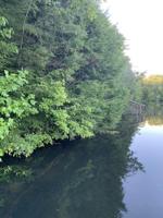 Lot 21 N Laurel Loop