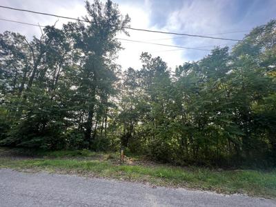 Lot 14 Stillhouse Branch Rd