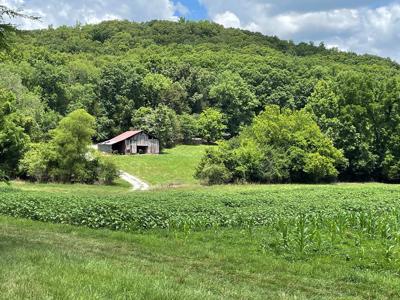 0 Mitchell Hollow Rd