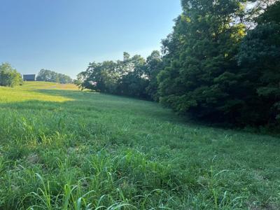 Lot 19 Amonett Circle