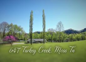 647 Turkey Creek Road