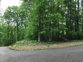 Lot 11 Falcon Drive
