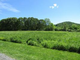 5.20ac Big Bottom Road