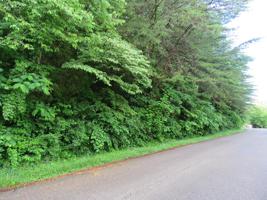 00 Boone Drive