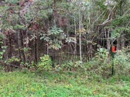 Lot 66 Big Hollow Rd