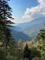 3 Bella Vista