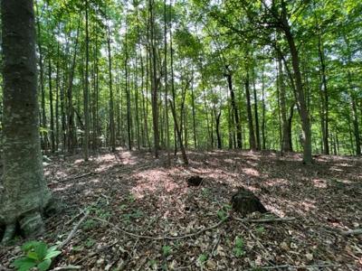 10.97 AC H R Huffer Ln