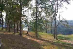 Lot 6 Amonett Circle