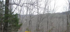 Lot 17 Wood River Lane
