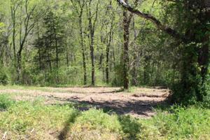 Lot 201 Sandgate Dr