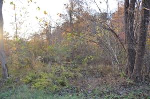 Lot 132 Lakeview Spur