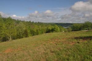 LOT34-37 TURKEY RIDGE RD.