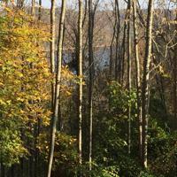 0 Sunny Point Rd