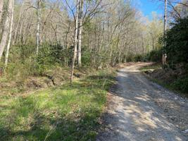 0 SE Of Wayne Laws Rd TN