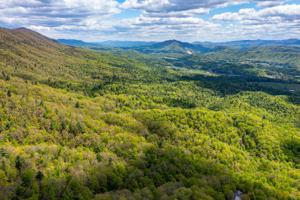 LOT 24 Bear Ridge