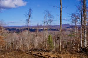 1 Bald Knob Road