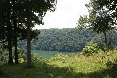 Lot 4 West Hutchins Bend