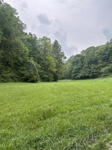 . Roughshod Hollow Rd.