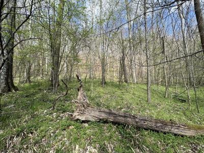 Lot 100 Lake View Dr