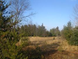 Lot 39 Meadowood Shores, Iron Lake Rd