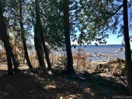 TBD Barque Point Tr