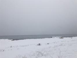 3007 W Michigan Shores Rd