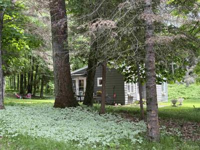 1461 County Road 424 Road