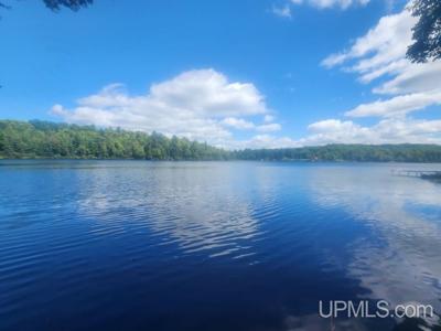 TBD W Tamarack Lake Road