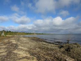 Lot 15 Hidden Shores Dr