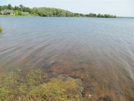 Eagle Point Dr
