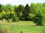 20.6 ac Iron Lake Rd