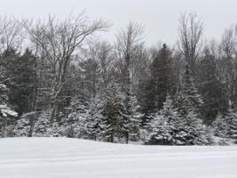TBD Hemlock Views Tr