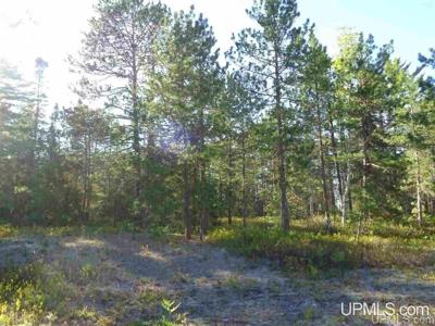 51734 Rice Lake Road