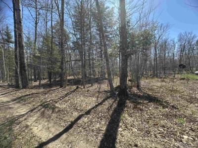 TBD Lot 29 1st St Street